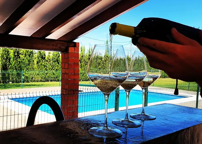 Cami De Merle * 德尼亚