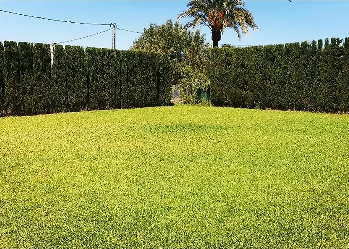 Cami De Merle * 德尼亚